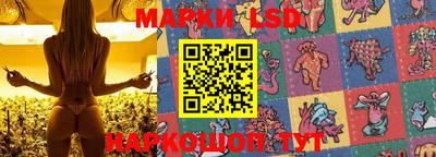 ГАЛЛЮЦИНОГЕННЫЕ ГРИБЫ Северобайкальск
