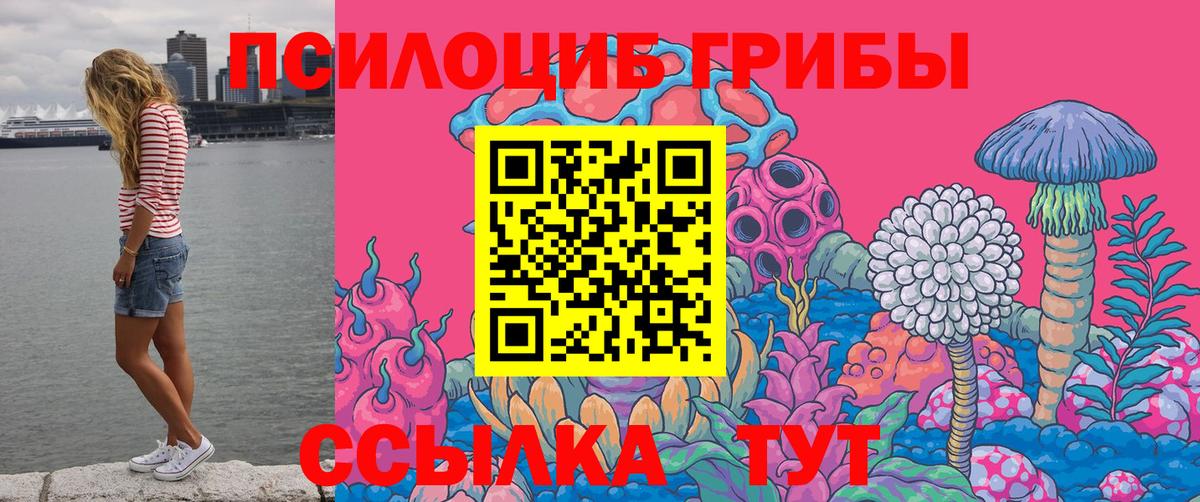 Псилоцибиновые грибы Psilocybe  Вход с VPN  Приморско-Ахтарск 